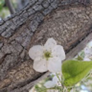 Meet your Posher, Jillian